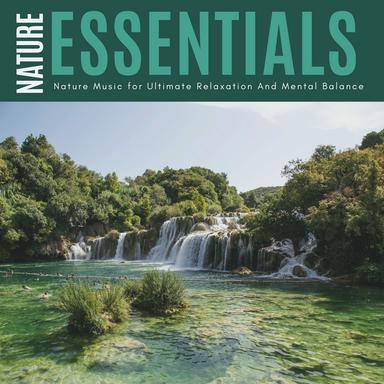 Solitude Of Self - Original Mix