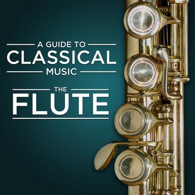 Concerto in G Major for Flute and Orchestra, Op. 29: III. Rondo: Allegretto - Grazioso - Allegro