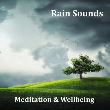 Rain Sounds - Chill Out