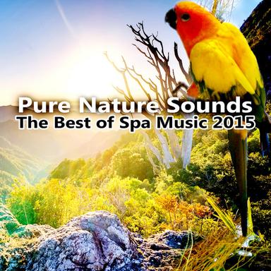 Massage Music