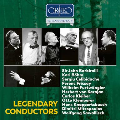 Symphony No. 4 in E-Flat Major, WAB 104 "Romantic" (1888 Version): II. Andante quasi allegretto