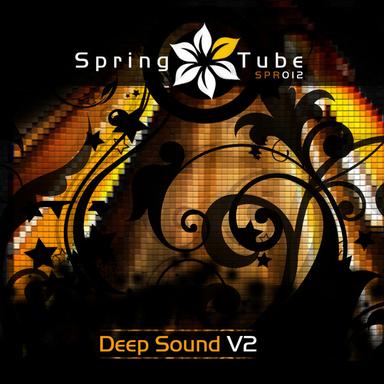 2Go - V2 Mix