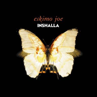 Losing Friends over Love