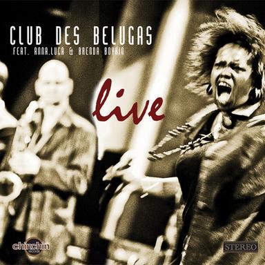 Desperately Trying - Live