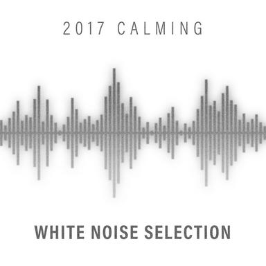 Flight White Noise