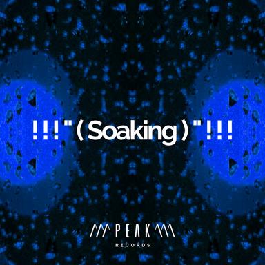 Rainforest Night Ambiance