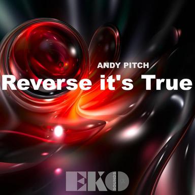Reverse It's True - Original mix