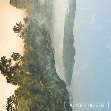 Jungle Raindrops