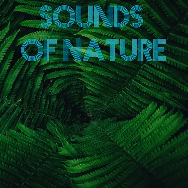 Rain Sounds - Chill Out