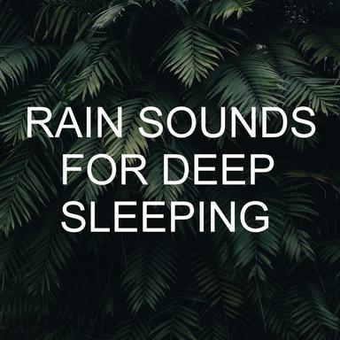Rain Fall Sounds