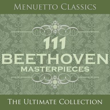 Sonata in A Minor for Piano and Violin, Op. 23: III. Allegro molto