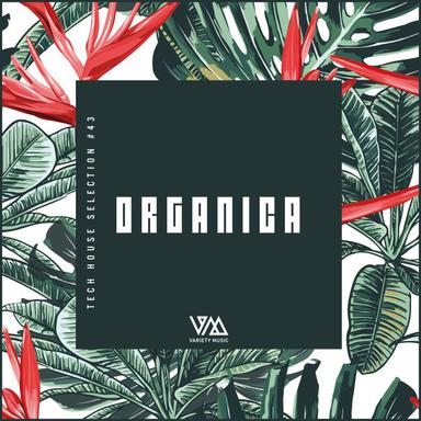 Move for Me - Original Mix