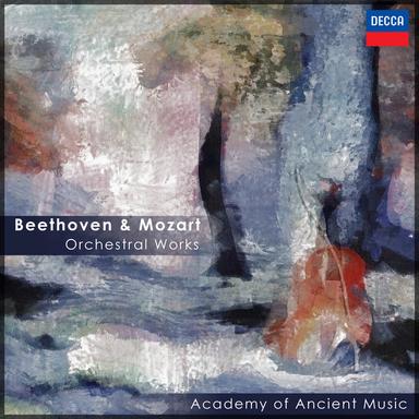 Symphony No. 51 in D, K.121: 3. Allegro
