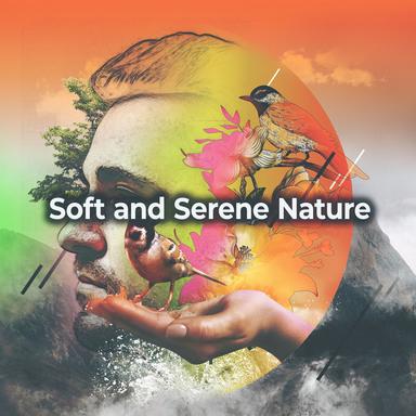 Stream from the Hill