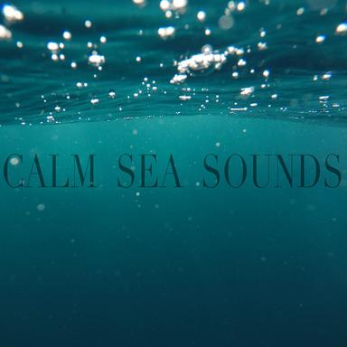 Sea Sounds Ambience