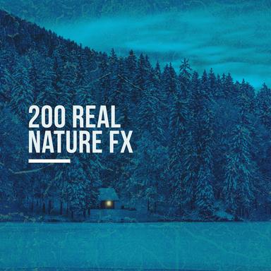 Evening Nature Sounds