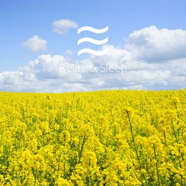 ES