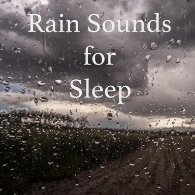 Rain Sound: Steady Showers
