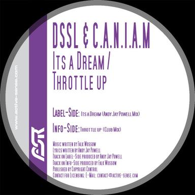 It's a Dream - Andy Jay Powell Radio Edit