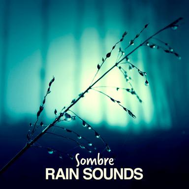 Rain Pitters & Patters