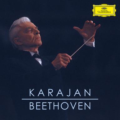 Symphony No. 3 in E-Flat Major, Op. 55 - "Eroica": 1. Allegro con brio
