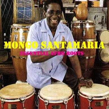 Timbales And Bongo