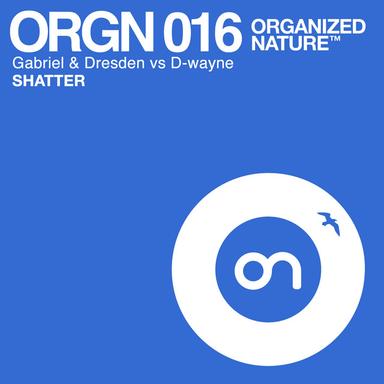 Shatter - Radio Edit
