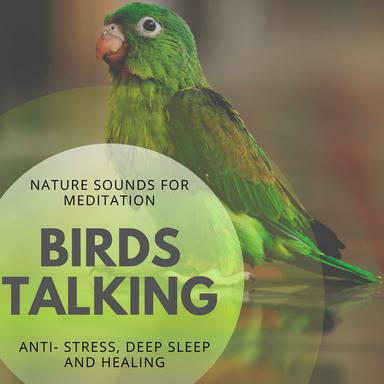 The Visualization - Original Mix