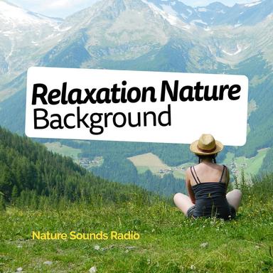 English Garden Shed Rain