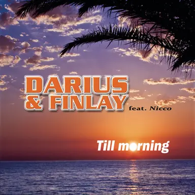 Till Morning (feat. Nicco) - Pedro De Cabra Remix
