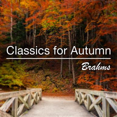 Sonata for Clarinet and Piano No. 2 in E flat, Op. 120 No. 2: 2. Appassionato, ma non troppo allegro