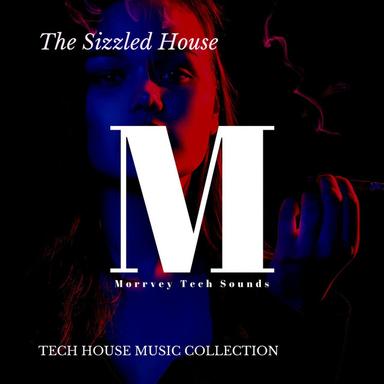 Lounge Stories (Festive Disco Tech House) - Original Mix