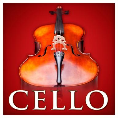 Cello Concerto in B Minor, Op. 104, B. 191: I. Allegro