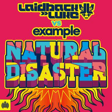 Natural Disaster - Skream Remix