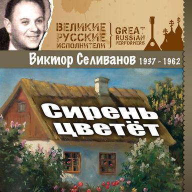 Берёзы