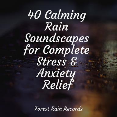 Echo Rains