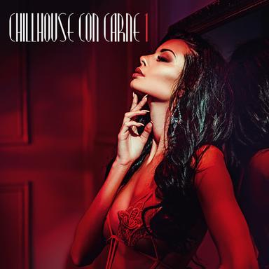 Chillhouse con carne, Vol. 1