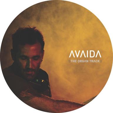 Avaida (The Organ Track) - Murk Remix