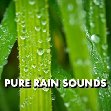 Relaxing Rain Sounds