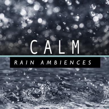 Night Rain