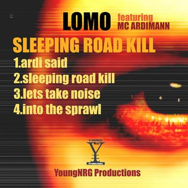 Sleeping Road Kill