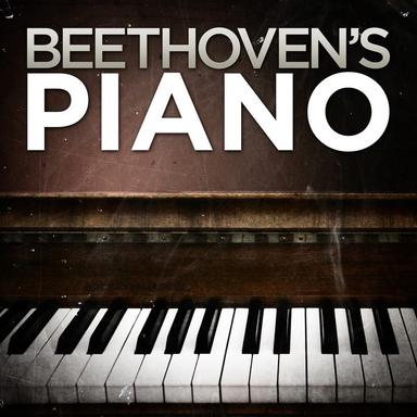 Piano Sonata No. 17 in D Minor, Op. 31,"Tempest": III. Allegretto