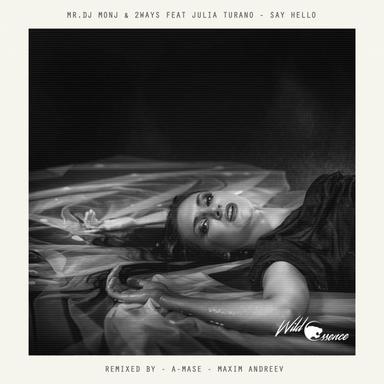 Say Hello - Maxim Andreev Remix