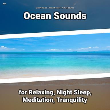 Ocean Sounds to Help Babies Sleep All Night