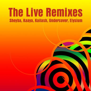 Mystery Brain - Live Remix