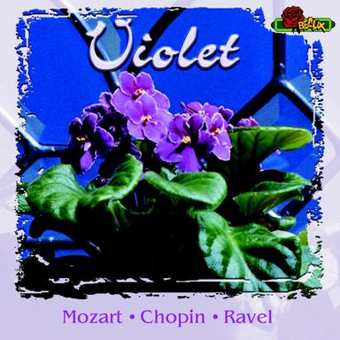 String Quartet No.2 In D Major III. Notturno, Andante