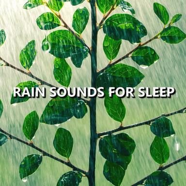Masterful Natural Rain Sounds