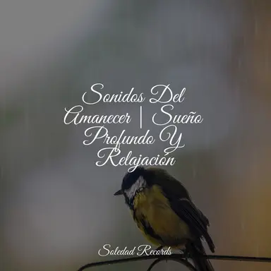 Niño Salvaje