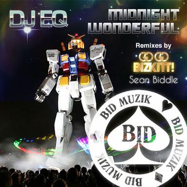 Midnight Wonderful - Sean Biddle Remix