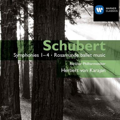 Schubert: Symphony No. 4 in C Minor, D. 417, "Tragic": I. Adagio molto - Allegro vivace